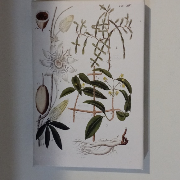 Design painting 12 x 8 - Picture 3 of 3